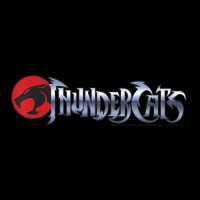 Thundercats Simple Youth Hoodie | Artistshot