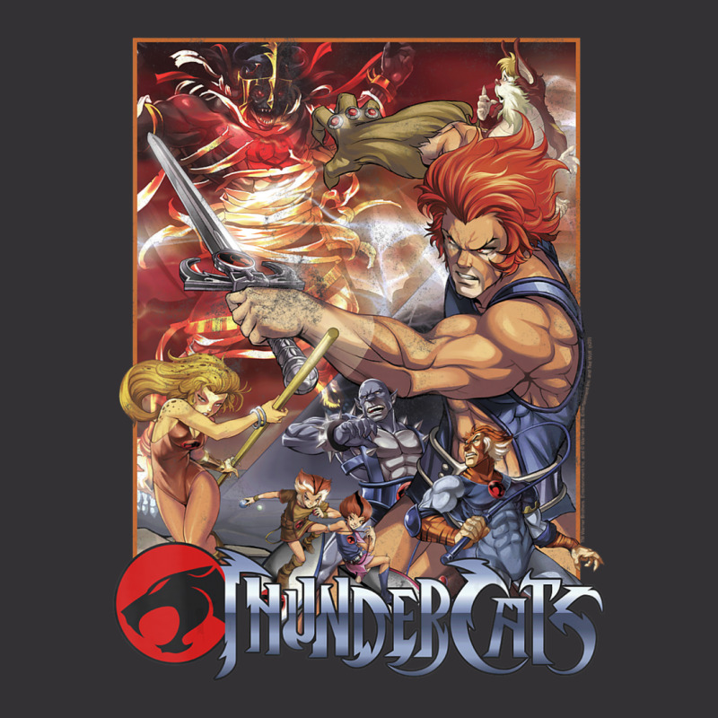 Thundercats Vintage Poster Vintage Hoodie And Short Set by atereabag | Artistshot