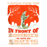 10548100062^push You In Zombies To Save My Exotic Shorthair Tank Top Youth Tee | Artistshot