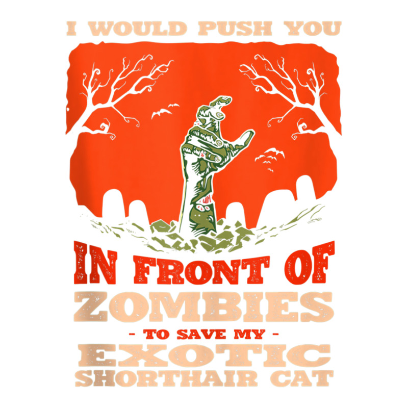 10548100062^push You In Zombies To Save My Exotic Shorthair Tank Top Youth Tee by cm-arts | Artistshot