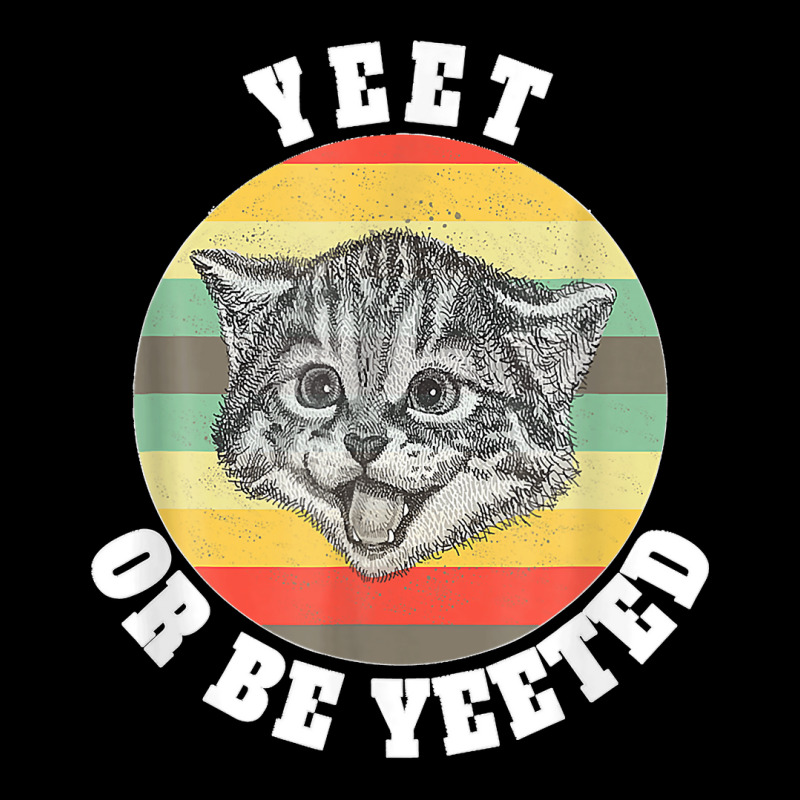 Yeet Or Be Yeeted Funny Kitten Meme For Cat Lovers Vintage V-neck Tee | Artistshot