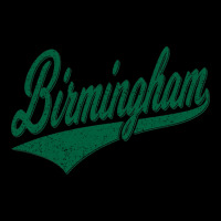 Birmingham Alabama Varsity Script Classic Sport Jersey Style Pullover Unisex Jogger | Artistshot