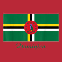 Dominica Flag Souvenir T Shirt Women's V-neck T-shirt | Artistshot