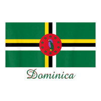 Dominica Flag Souvenir T Shirt Maternity Scoop Neck T-shirt | Artistshot