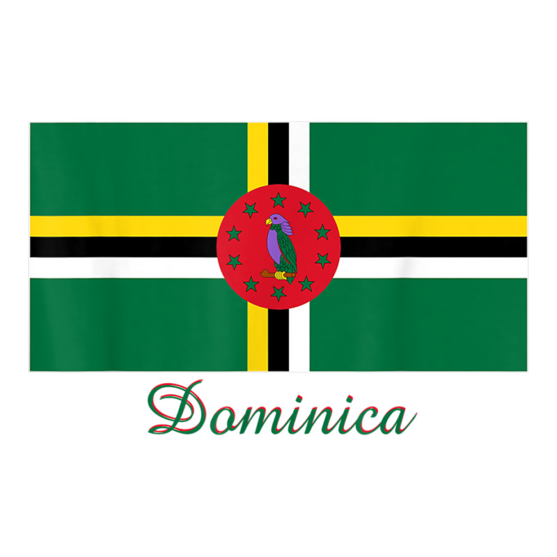 Dominica Flag Souvenir T Shirt Maternity Scoop Neck T-shirt by cm-arts | Artistshot