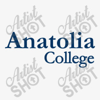 Anatolia Studies Ladies Fitted T-shirt | Artistshot