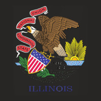 Illinois State Flag Us State Flag, Illini Ladies Fitted T-shirt | Artistshot