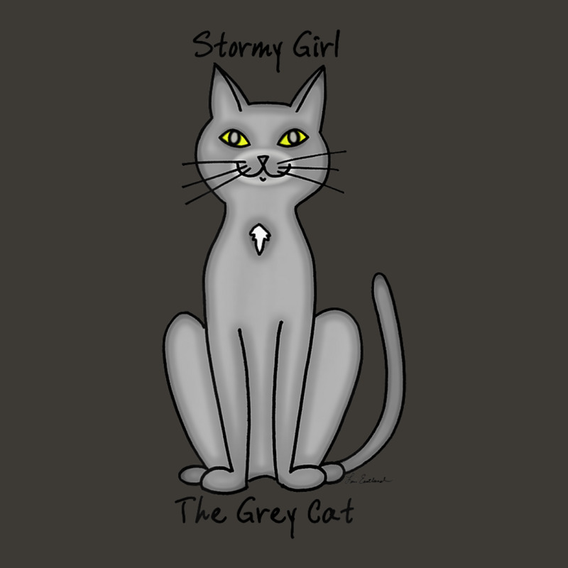 Stormy Girl The Grey Cat Bucket Hat by cm-arts | Artistshot