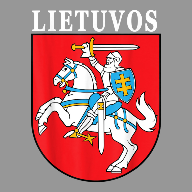 Lietuvos Emblem Lithuanian Coat Of Arms National Pride T Shirt Women's V-Neck T-Shirt by cm-arts | Artistshot