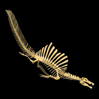 Spinosaurus Aegyptiacus, Skeleton Diving, Spinosaurus, Aegyptiacus, Sk Kids Cap | Artistshot