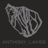 Anthony Lakes Resort 3d Ladies Fitted T-shirt | Artistshot