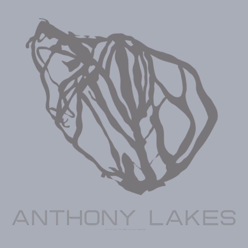 Anthony Lakes Resort 3d Tank Dress by Kanmosrin52 | Artistshot