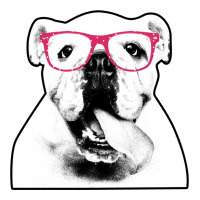 International Dog Day For Light Baby Tee | Artistshot