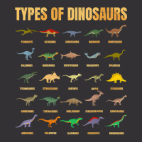 Types Of Dinosaurs   Dino Identification   Rex Dinosaur Type T Shirt Vintage Hoodie | Artistshot