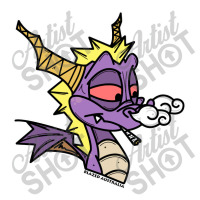 Spyro The Blazing Dragon  Spyro Youth Tee | Artistshot