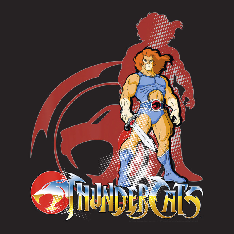 Thundercats Lion-o Vintage Cap by Koyanho62 | Artistshot