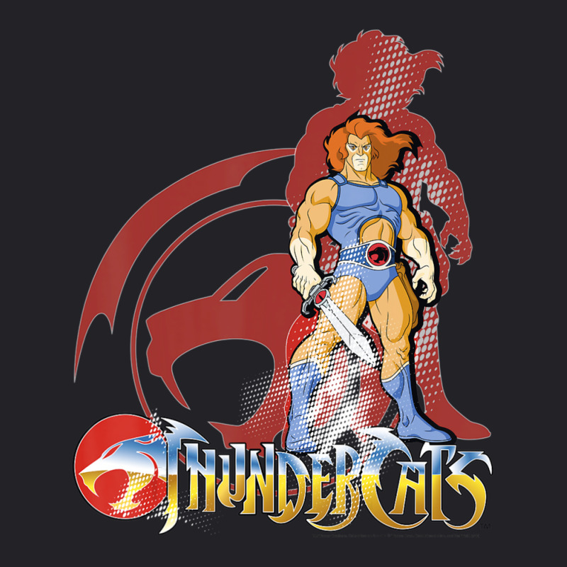 Thundercats Lion-o Youth Tee by Koyanho62 | Artistshot