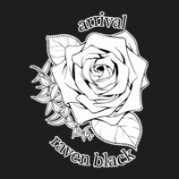 Raven Black Arrival Rose 1 Classic T-shirt | Artistshot