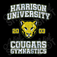 Cougars Gymnastics (variant)   Old School Long Sleeve Baby Bodysuit | Artistshot