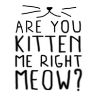 New Are You Kitten Me Right Meow V-neck Tee | Artistshot