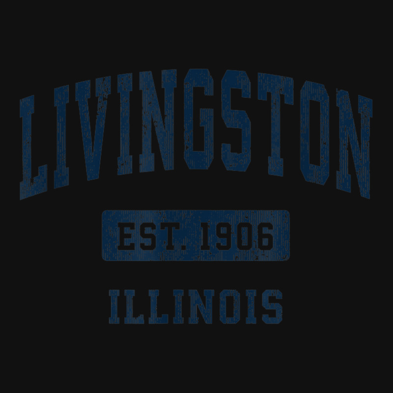 Livingston Illinois Il Vintage Athletic Sports Design Baby Bibs by Aquarius | Artistshot