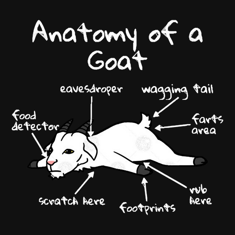 Custom Anatomy Of A Goat, Anatomy Of A Goat Art, Anatomy Of A Goat ...