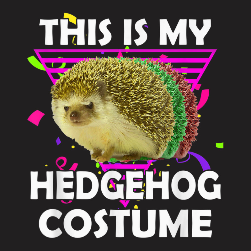 This Is My Hedgehog Costume Funny Halloween Lazy Costume T-shirt | Artistshot