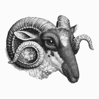 Profile Of A Ram, Profile Of A Ram Art, Profile Of A Ram Vintage, Prof Coffee Mug | Artistshot