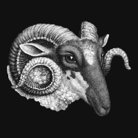 Profile Of A Ram, Profile Of A Ram Art, Profile Of A Ram Vintage, Prof Crew Socks | Artistshot