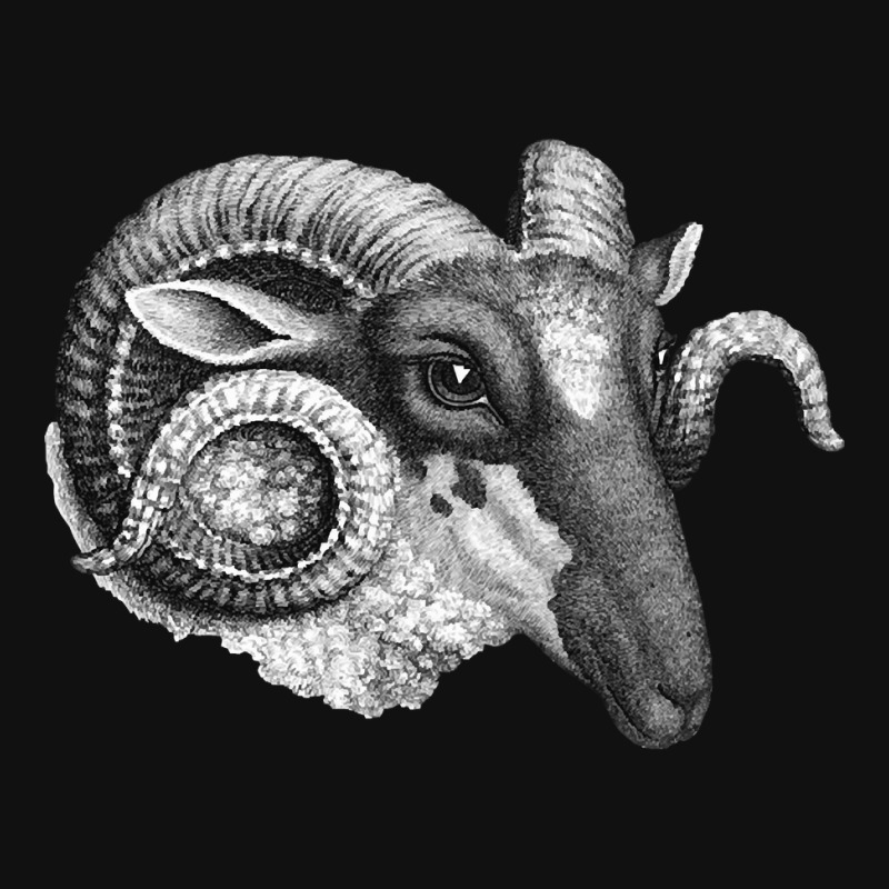 Profile Of A Ram, Profile Of A Ram Art, Profile Of A Ram Vintage, Prof Crew Socks | Artistshot