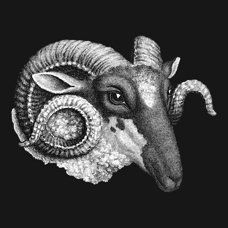 Profile Of A Ram, Profile Of A Ram Art, Profile Of A Ram Vintage, Prof Medium-length Apron | Artistshot