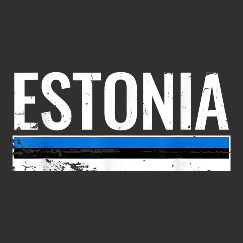 Estonia Proud Estonian Flag T Shirt Champion Hoodie | Artistshot