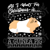 All I Want For Christmas Is A Guinea Pig Youth Sweatshirt | Artistshot