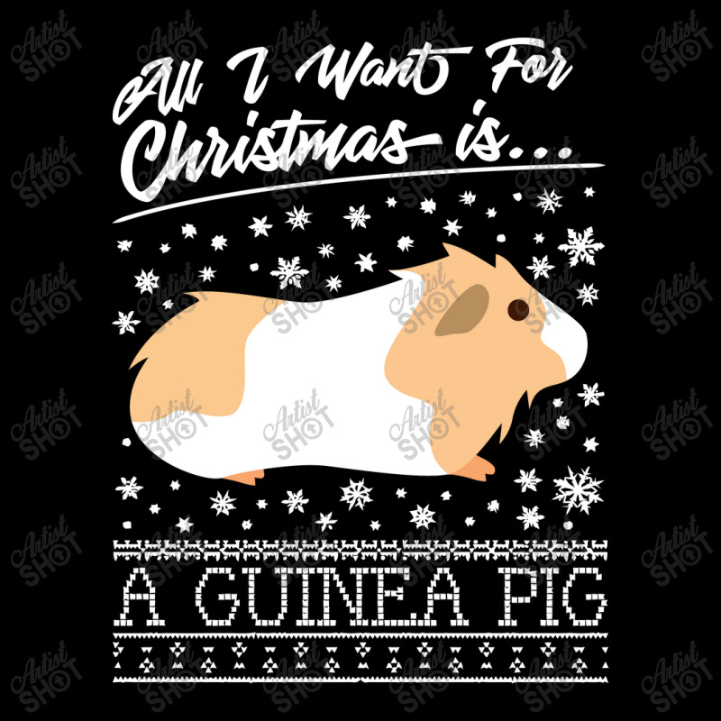 All I Want For Christmas Is A Guinea Pig Youth Sweatshirt | Artistshot