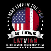 American Latvian Home In Us Patriot American Latvia Flag Long Sleeve Shirts | Artistshot