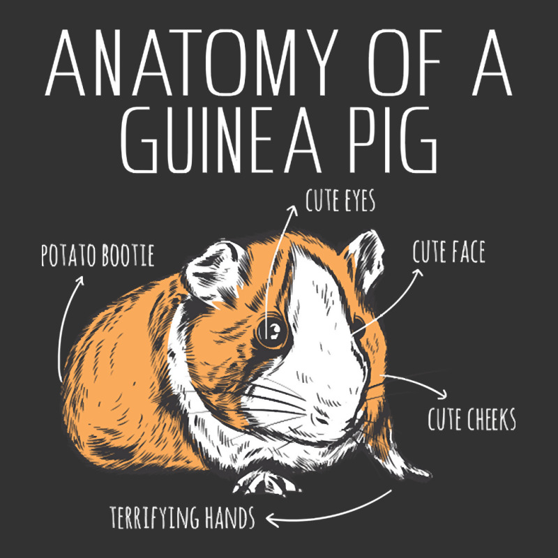 Anatomy Of A Guinea Pig, Anatomy Of A Guinea Pig Vintage, Anatomy Of A Baby Bodysuit | Artistshot