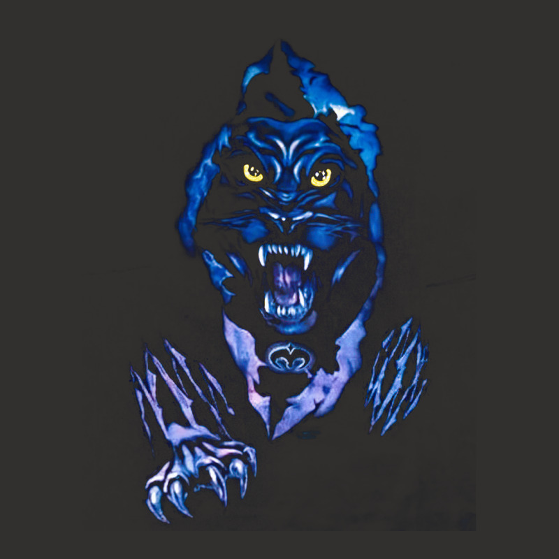 Guardians Of Paradise Panther, Guardians Paradise Panther, Guardians,  Champion Hoodie | Artistshot