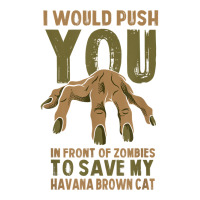 Push You In Zombies To Save My Havana Brown Cat Funny T Shirt Crewneck Sweatshirt | Artistshot