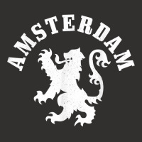 Amsterdam Netherlands Lion Dutch Holland Vintage Amsterdam Champion Hoodie | Artistshot