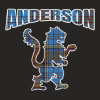 Anderson Clan Kilt Tartan Lion Namesake Scottish Ladies Fitted T-shirt | Artistshot