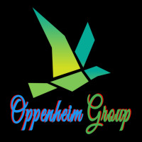 Oppenheim Group - The Design Is Oppenheim Jason Real Estate Art Adjustable Cap | Artistshot