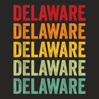 Delaware County Ladies Fitted T-shirt | Artistshot