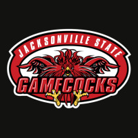 Be  Jacksonville-gamecocks  Baseball Scorecard Crop Tee | Artistshot