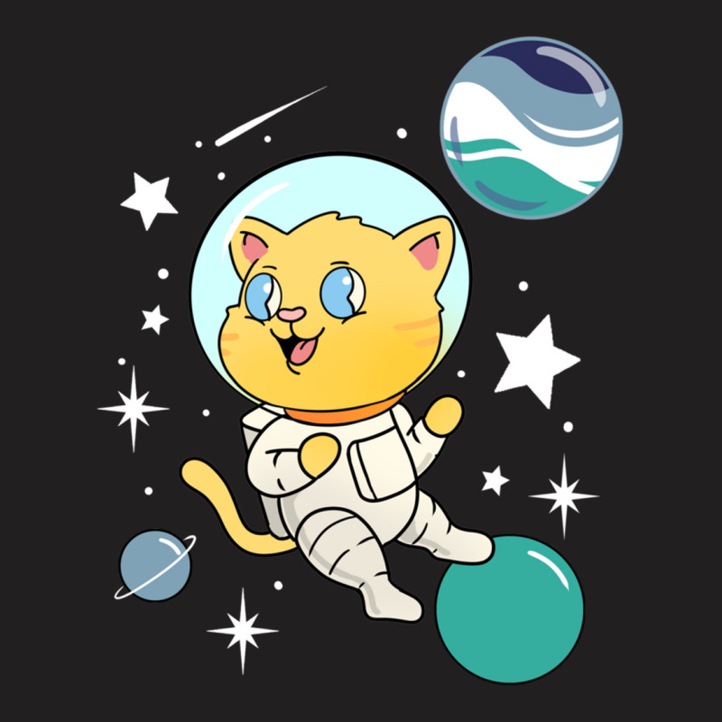 Cat In Space Oriented Aroace Pride T-shirt | Artistshot