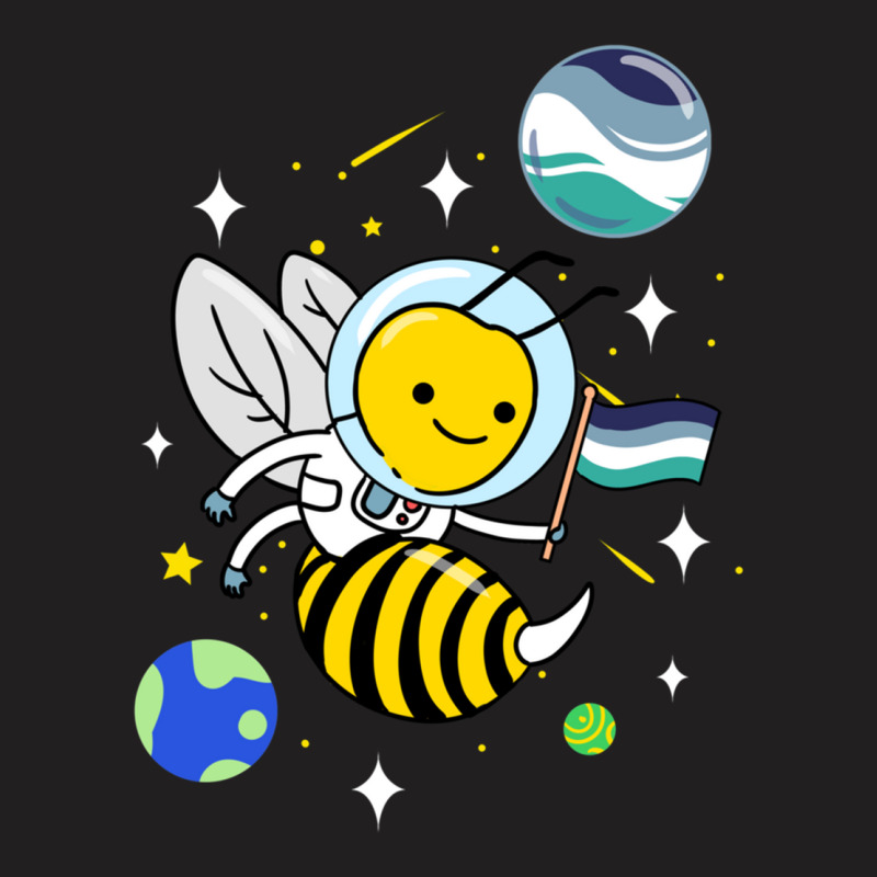 Wasp Astronaut Oriented Aroace Pride T-shirt | Artistshot