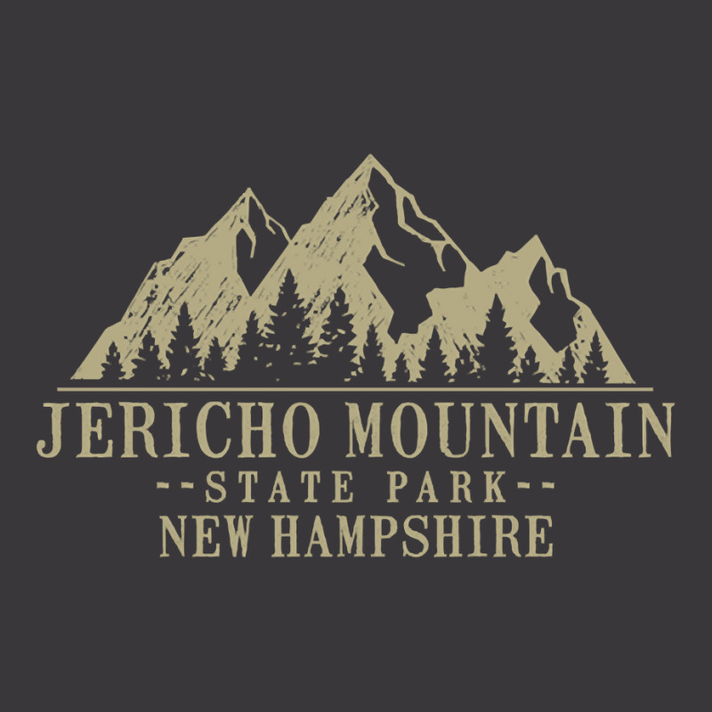 New Hampshire Jericho Mountain State Park Pullover Hoodie Ladies Curvy T-Shirt by cm-arts | Artistshot