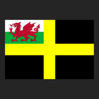 St David_s Flag Unisex Hoodie | Artistshot