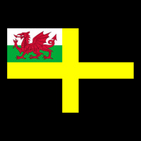 St David_s Flag Lightweight Hoodie | Artistshot