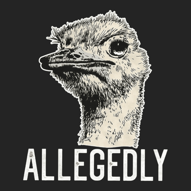 Letterkenny Allegedly Ostrich, Letterkenny Allegedly Ostrich Art, Lett 3/4 Sleeve Shirt | Artistshot