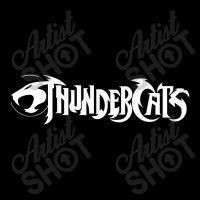 Thundercats Lightweight Hoodie | Artistshot